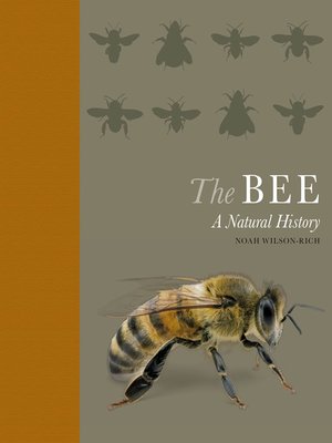 cover image of The Bee